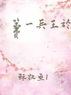 第一兵王于枫免费