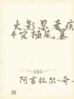 火影忍者疾风传4究极风暴