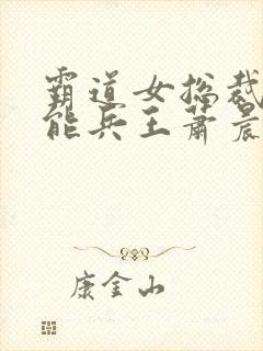 霸道女总裁的全能兵王萧晨