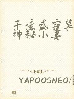 千亿盛宠慕少的神秘小妻