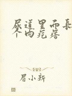 尿道里面长了一个肉疙瘩