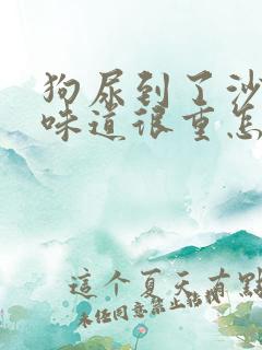 狗尿到了沙发上味道很重怎么办