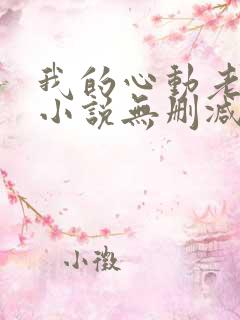 我的心动老板娘小说无删减版
