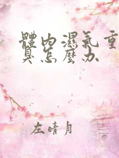 体内湿气重有口臭怎么办