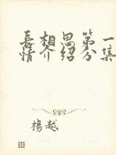 长相思第一季剧情介绍分集介绍