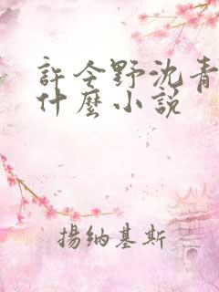 许今野沈青棠是什么小说