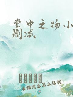 掌中之物小说无删减