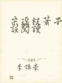 宋瑶枝萧子骞小说阅读