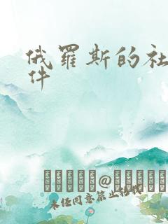 俄罗斯的社交软件