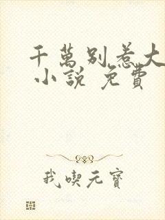 千万别惹大师兄 小说 免费