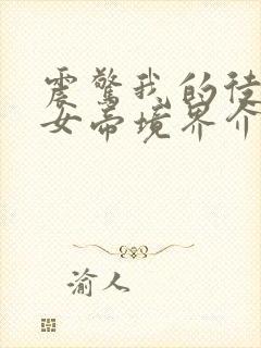 震惊我的徒弟是女帝境界介绍