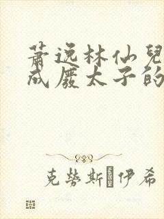 萧逸林仙儿穿越成废太子的小说