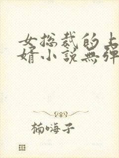 女总裁的上门龙婿小说无弹窗