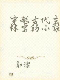 穿越古代主角叫林云的小说