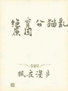 绝育公猫乱尿的原因