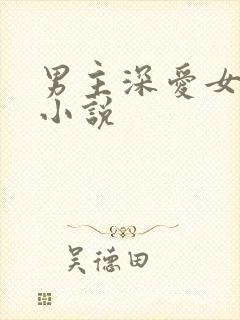 男主深爱女主的小说