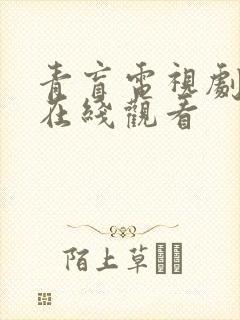 青盲电视剧高清在线观看