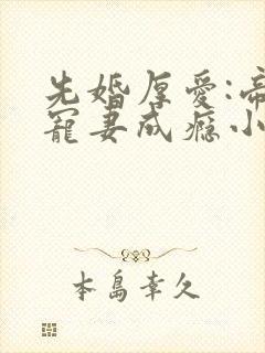 先婚厚爱:帝少宠妻成瘾小说