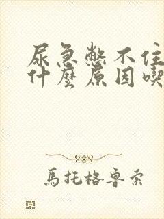 尿急憋不住尿是什么原因吃什么药