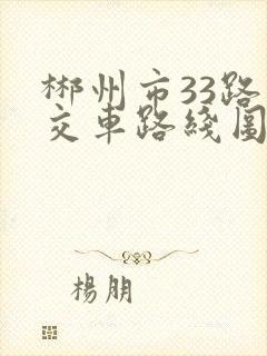 郴州市33路公交车路线图