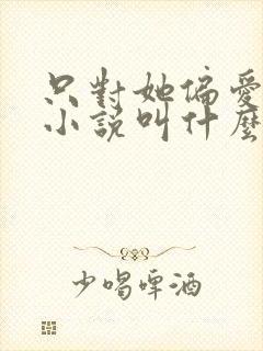 只对她偏爱原著小说叫什么名字