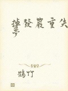 掉发严重失眠多梦