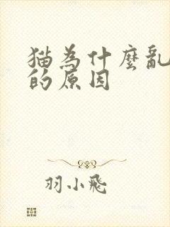 猫为什么乱撒尿的原因