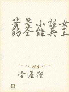 萧晨小说女总裁的全能兵王