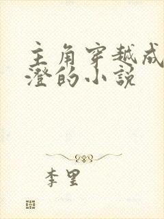 主角穿越成为高澄的小说