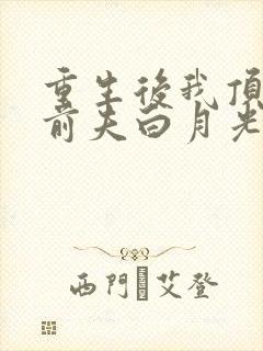 重生后我顶替了前夫白月光免费看