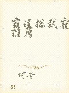 霸道总裁宠妻文推荐