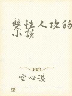 双性人攻的高h小说