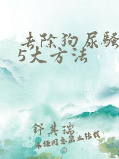 去除狗尿骚味的5大方法