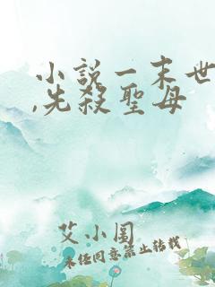 小说一末世降临,先杀圣母