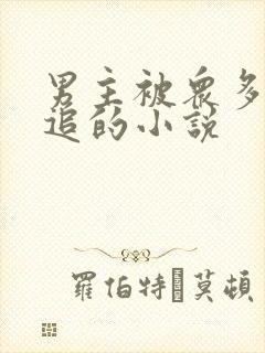 男主被众多女主追的小说