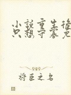 小说重生后夫人只想守寡免费阅读