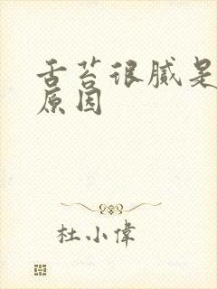 舌苔很腻是什么原因