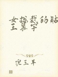 女总裁的贴身兵王慕宇