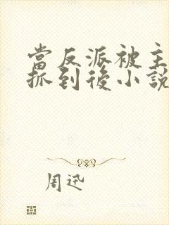 当反派被主角们抓到后小说免费阅读