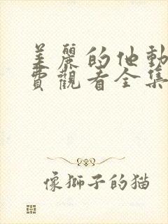 美丽的他动漫免费观看全集