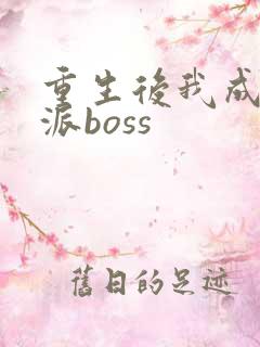 重生后我成了反派boss