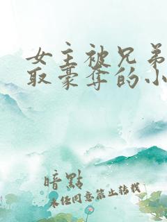 女主被兄弟俩强取豪夺的小说