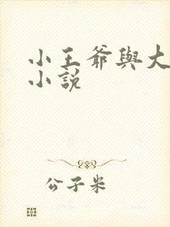 小王爷与大暗卫小说