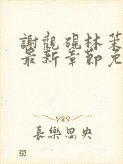 谢观砚林茉小说最新章节免费阅读全文