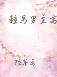 种马男主高h