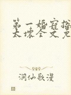 第一婚宠总裁别太坏全文免费阅读