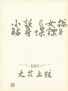 小说《女总裁的贴身保镖》