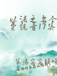 以法之名全集免费观看17集