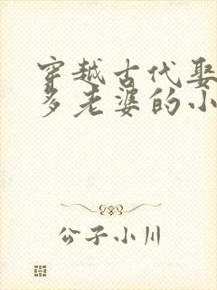 穿越古代娶了很多老婆的小说