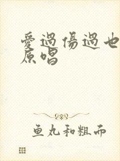 爱过伤过也哭过原唱